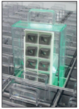 Single Box Dispenser II